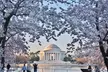 Private Full Day Washington DC Tour from New York City - Second Medium