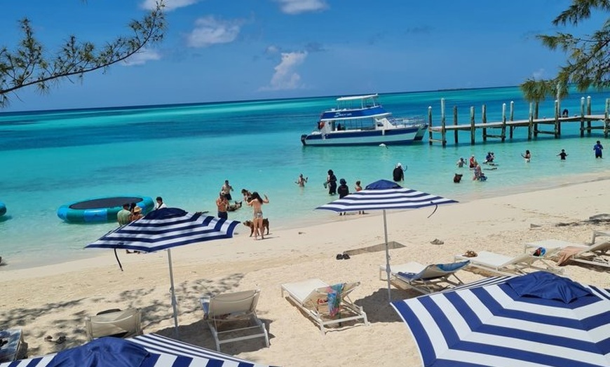 Image 10: Rose Island Snorkeling, Beach Day with Unlimited Rum Punch