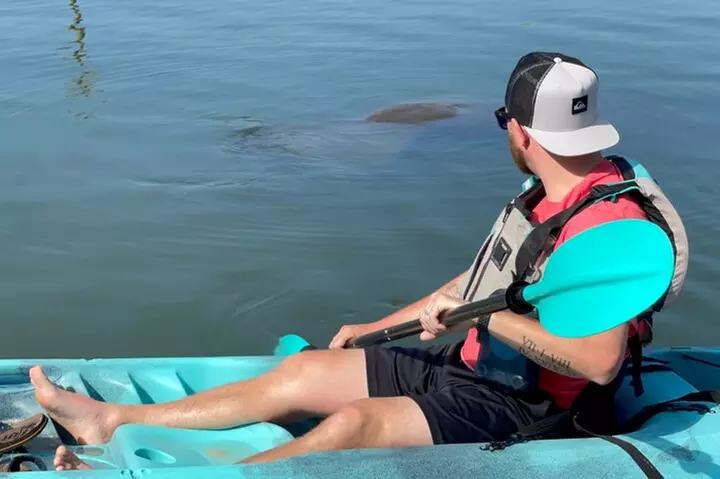 Wildlife Refuge Manatee, Dolphin & Mangrove Kayak or Paddleboarding...