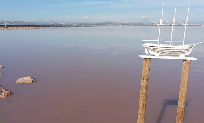 Image 5: Desde Alicante: Tabarca Santa Pola y Laguna Rosa de Torrevieja
