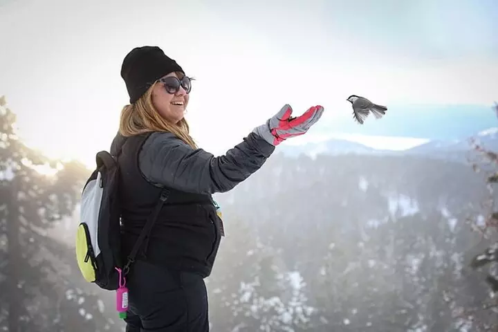 Chickadee Ridge Beginner Snowshoe Activity