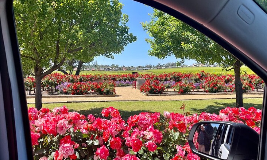 Image 6: McLaren Vale Private Tour inc Premium Lunch & d'Arenberg Cube