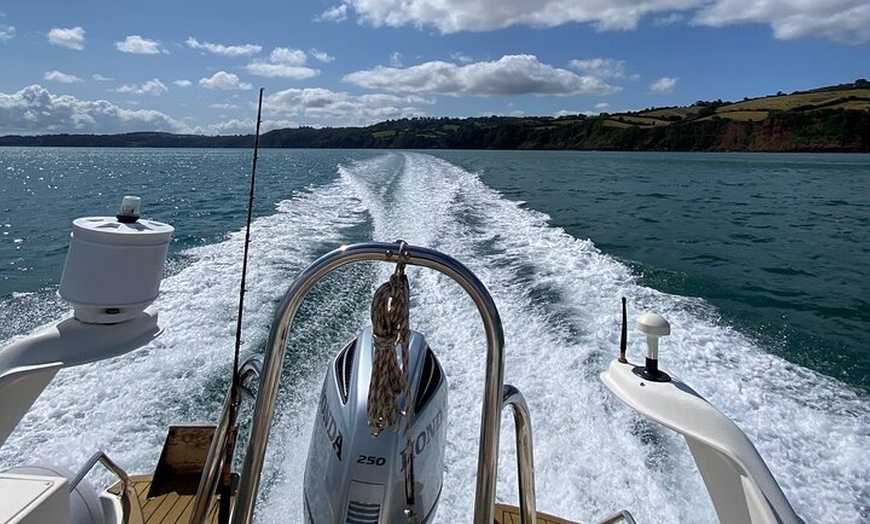 Image 39: Luxury Costal Rib Tour to Babbacombe Bay from Exmouth Marina