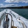 Image 39: Luxury Costal Rib Tour to Babbacombe Bay from Exmouth Marina