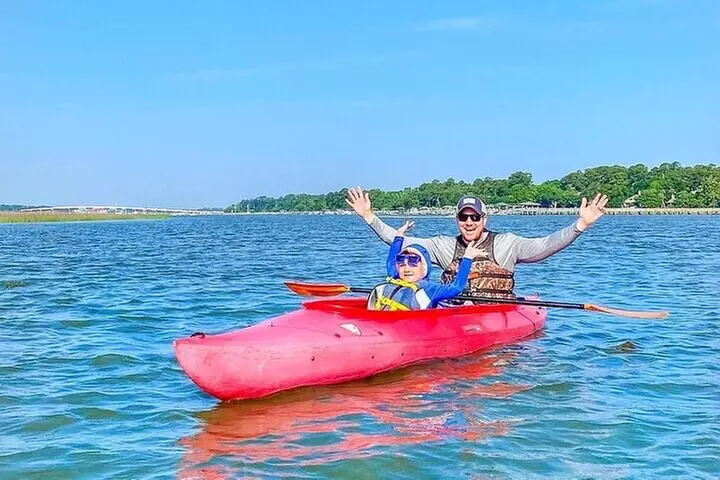 Family Friendly Dolphin Nature Kayak Tours in Hilton Head - Primary Image