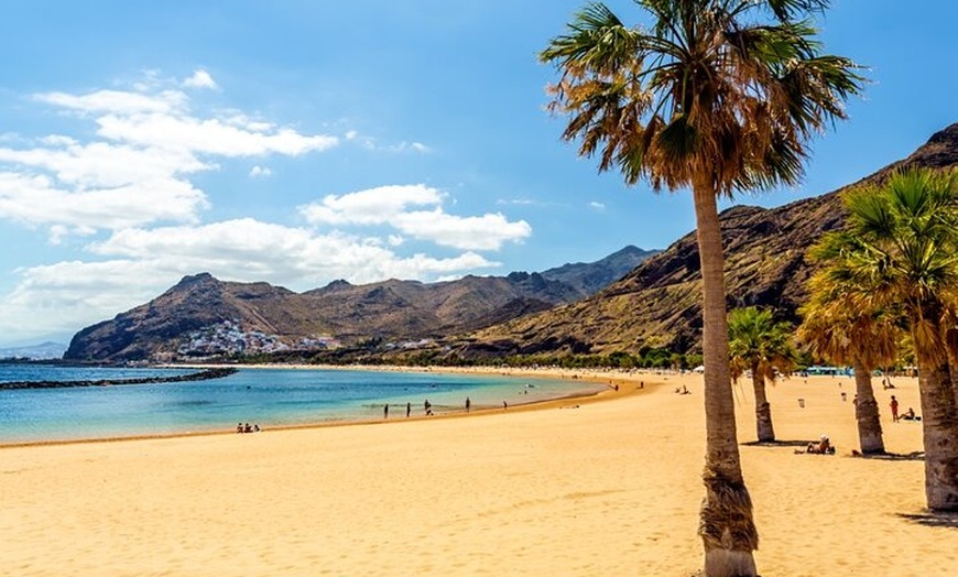 Image 13: Tour privado por Tenerife con guía en clase Mercedes V