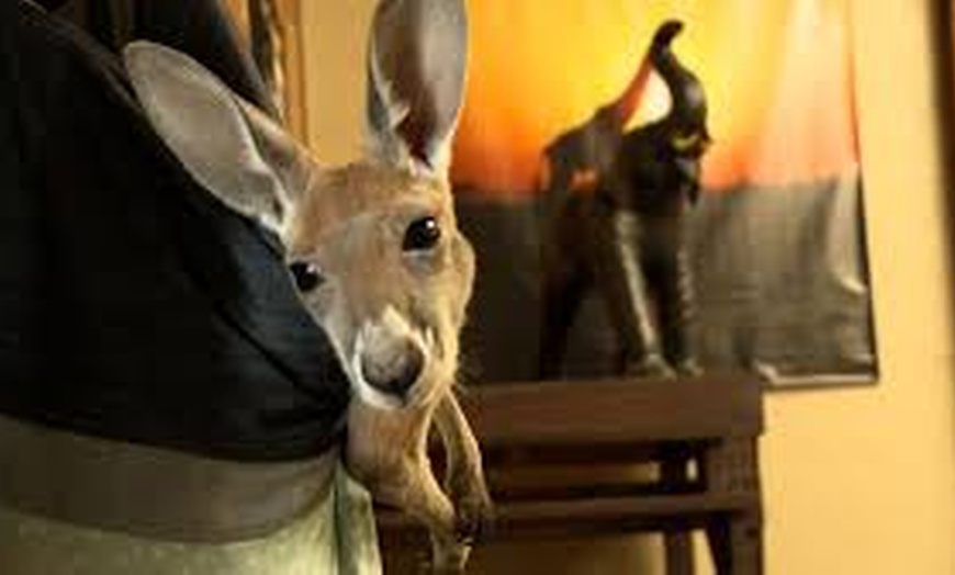 Image 6: $30 For $60 Worth Of A Family 4 Pack For Zoo Admission