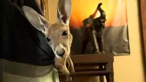 $30 For $60 Worth Of A Family 4 Pack For Zoo Admission - Second Medium