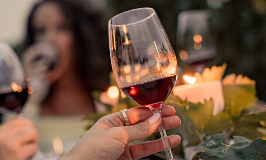 Image 17: Ibiza : Cata privada de vinos y aceites de oliva y Tapas y transporte