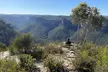 Intimate Blue Mountains Wild Kangaroos & Sunset for Nature Lovers - Image 5