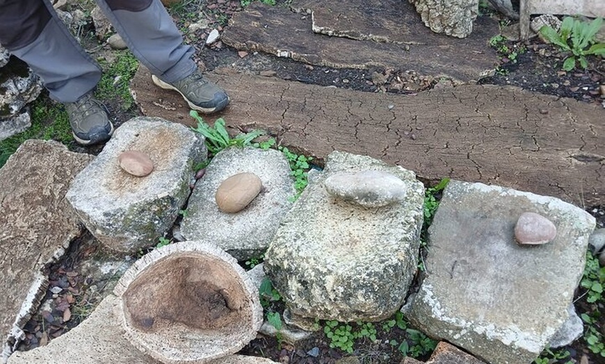 Image 7: Prehistory and Nature Learn Spanish in Nature