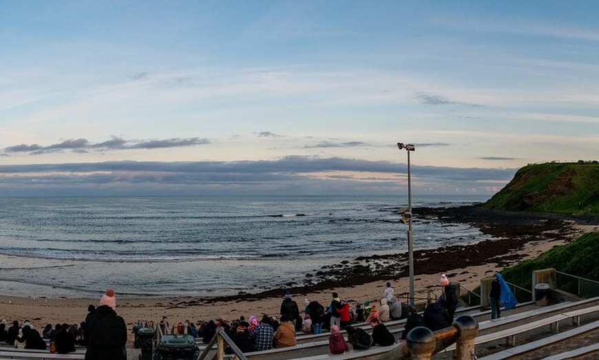 Image 10: Phillip Island Penguin Parade Day Tour from Melbourne