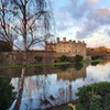 Image 11: Leeds Castle, Canterbury & White Cliffs