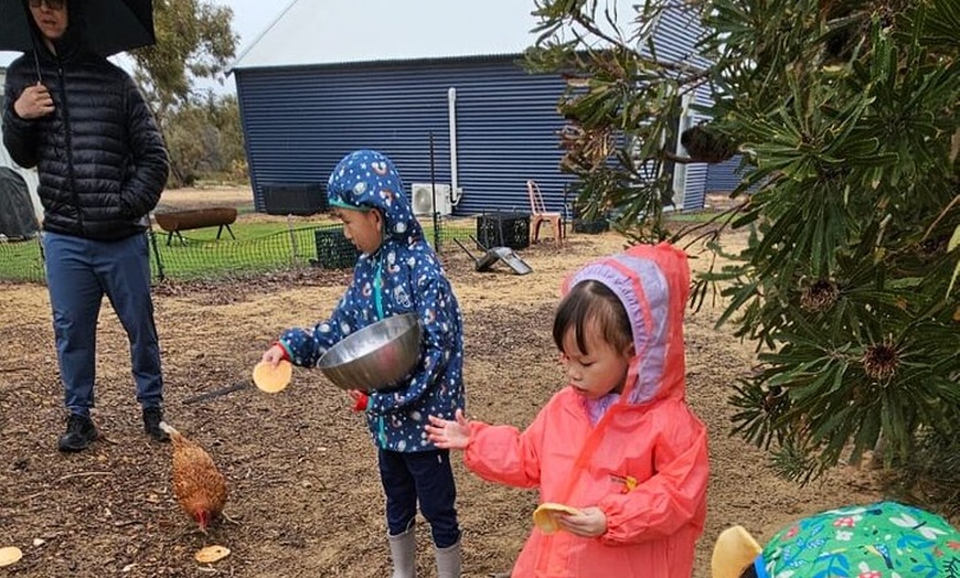 Image 19: Boshack Farm - Animal, Wildlife, Stargazing Nature Aussie culture