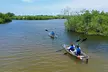Clear Kayak Tour of Tarpon Springs Sponge Docks & Mangroves - Second Medium