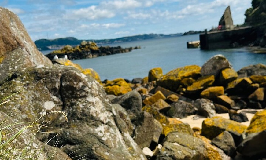 Image 32: Private Edinburgh Full Day Guided Tour in a Black Cab LEVC TX