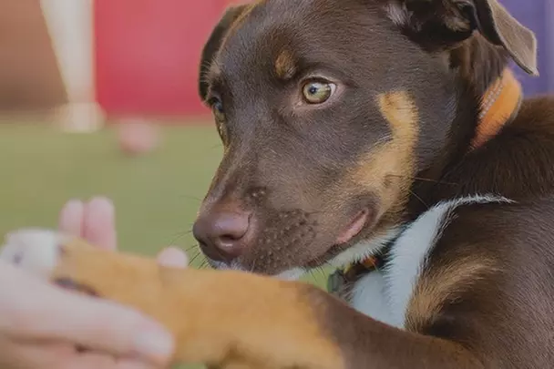 $31 For 2 Days Of All-Day Group Play (Reg. $62)