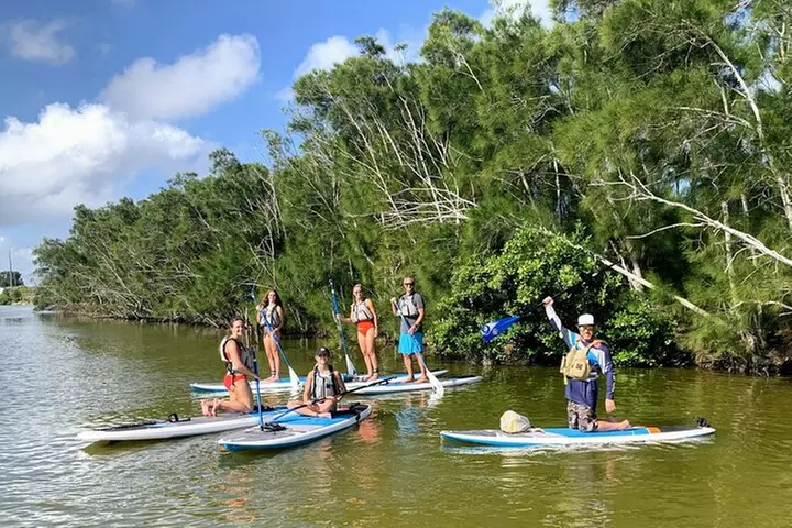 Wildlife Refuge Manatee, Dolphin & Mangrove Kayak or Paddleboarding...