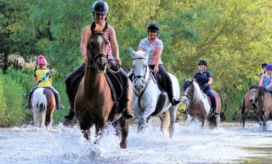 Image 4: Oxford : Cotswolds Tour (Hotel Transport)