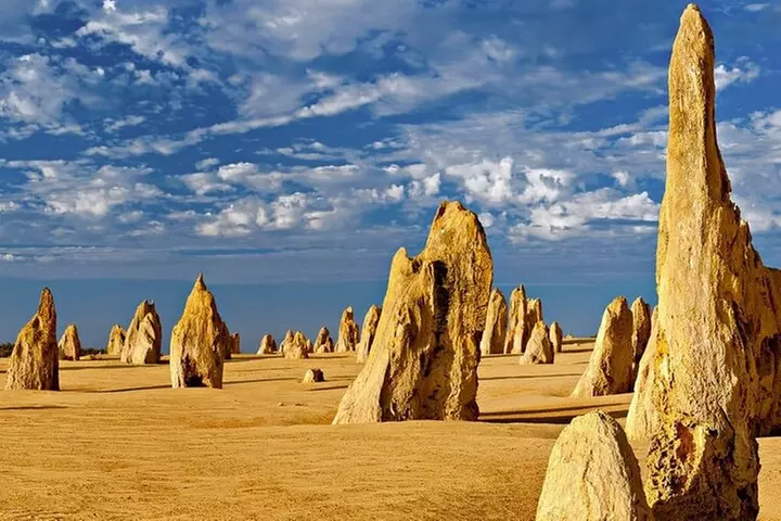 6 Hours Pinnacles Express Tour - Primary Image