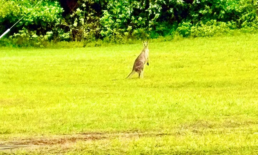 Image 4: Blue Mountains Private Sightseeing Day Tours from Sydney