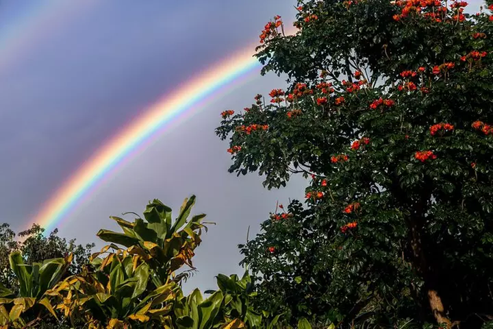 Maui: Road to Hana Adventure with Farm to Table Lunch