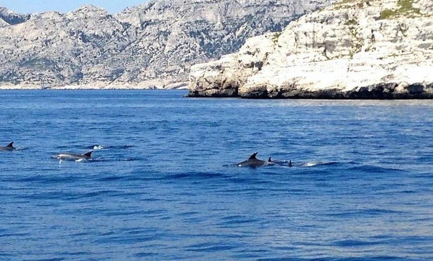 Image 9: Journée voile au cœur des Calanques