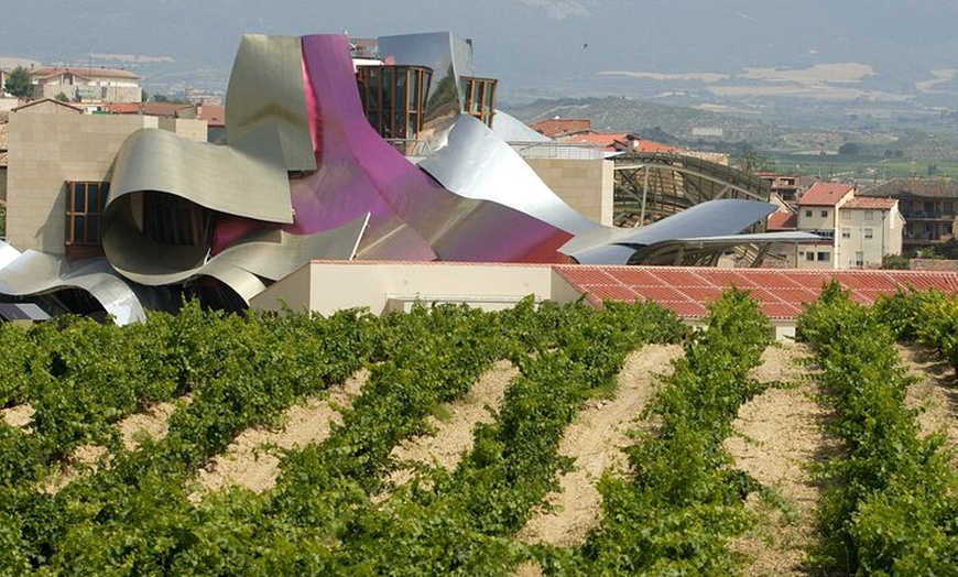 Image 9: Excursión de un día a Haro, Laguardia y dos bodegas de Rioja desde ...