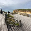 Image 12: Great Ocean Road 12 apostles PRIVATE Luxury Tour 5 PAX all incl.