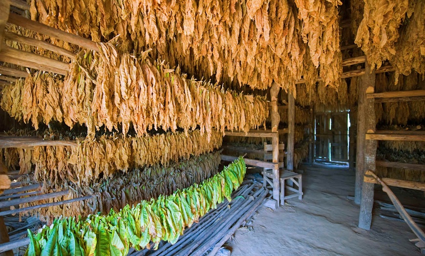 Image 9: ✈ CUBA | La Havane & Varadero - Autotour Ouest de Cuba 4* - Autotour