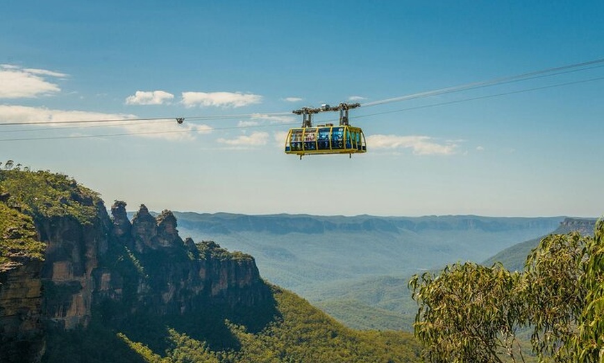 Image 3: Private Sydney Tour to Featherdale Wildlife Park