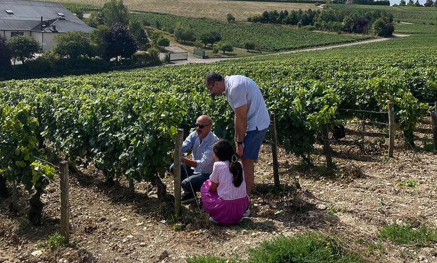 Image 9: Excursion privée d'une journée à Chablis et aux vins de Bourgogne a...
