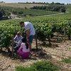 Image 9: Excursion privée d'une journée à Chablis et aux vins de Bourgogne a...