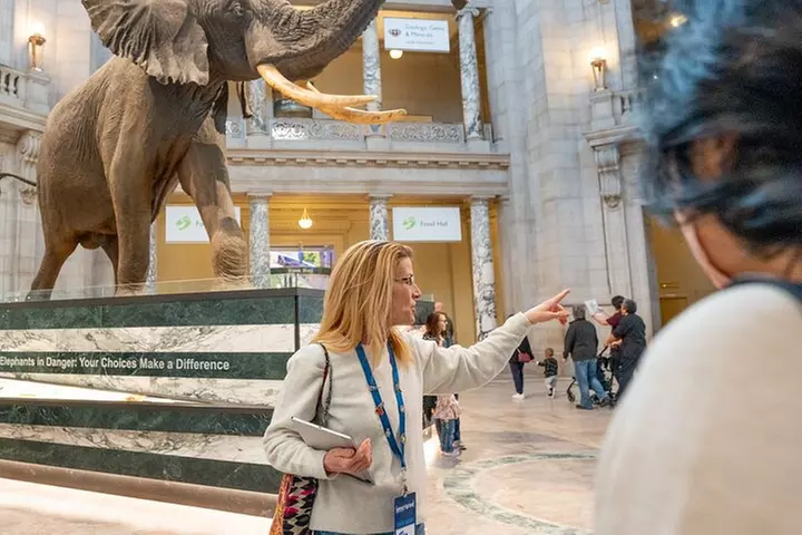 Smithsonian Highlights Walking Tour w/ Reserved Air & Space Entry