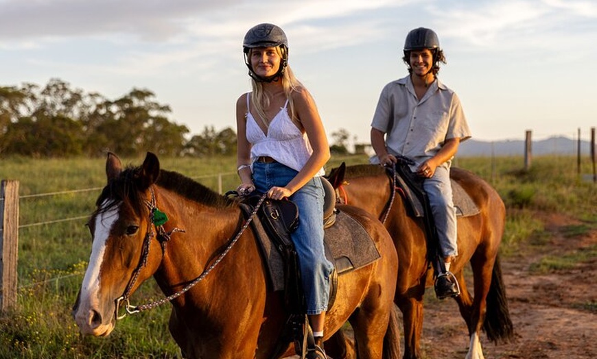 Image 9: Hunter Valley Horse Ride - 90 Minutes -Vineyard & Mountain Views