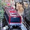 Image 2: Blue Mountains Day Tour with Wildlife, Walks and Scenic World