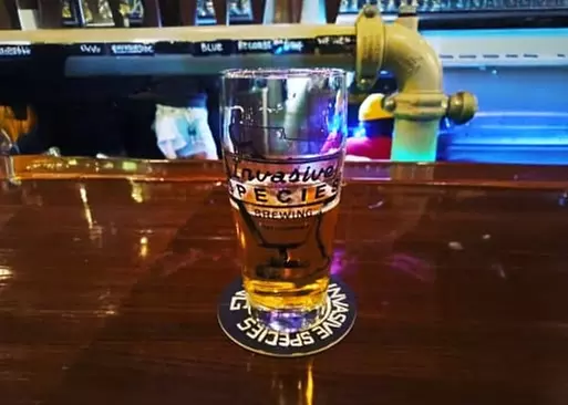 5% Cash Back at Poor House