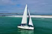 Private Dolphin Sightseeing Sail on The Daydreams Sailboat - Second Medium
