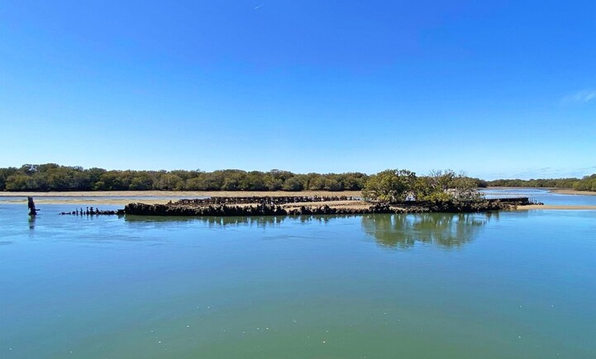 Image 4: 90 Minute Port River Dolphin & Ships Graveyard Cruise