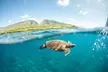 Maui Snorkel Sail Adventure with Lunch and Whale Watching - Second Medium