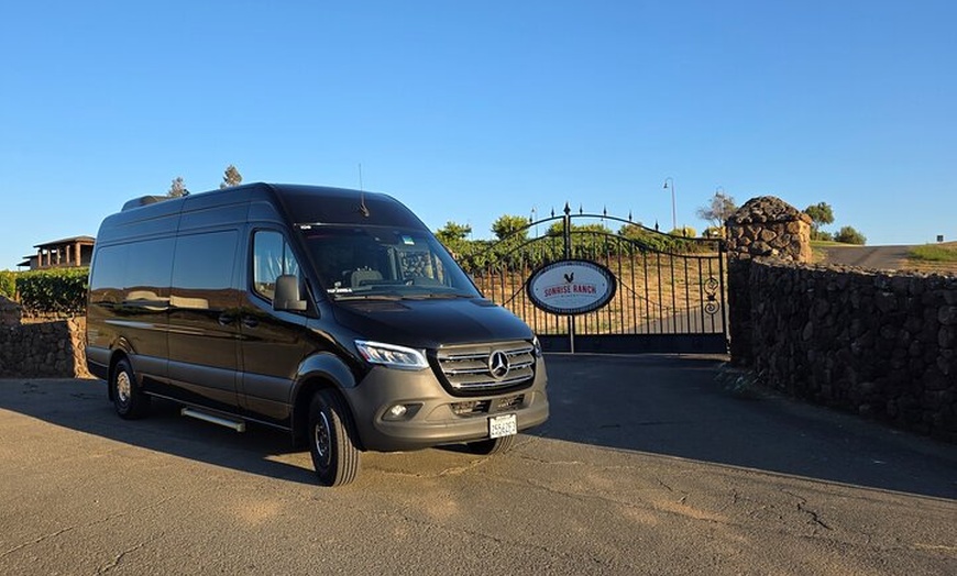 Image 4: Exclusive Private Custom Napa Valley Wine Tour in a Fun Van