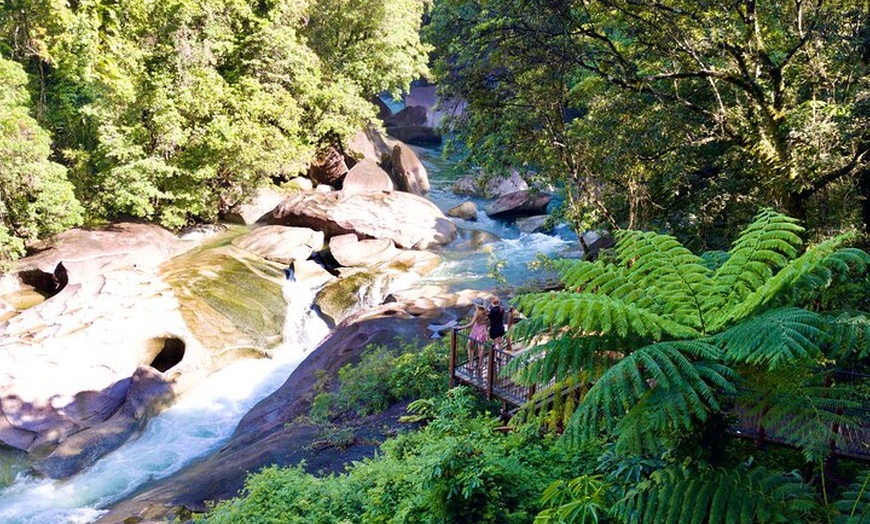 Image 6: Shore Excursion: Josephine Falls Half Day Adventure