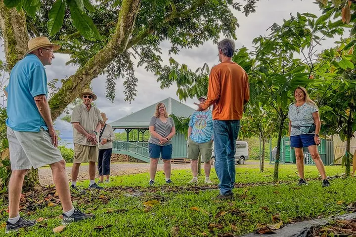 10 Bar Hawaiian Craft Chocolate Tasting Experience