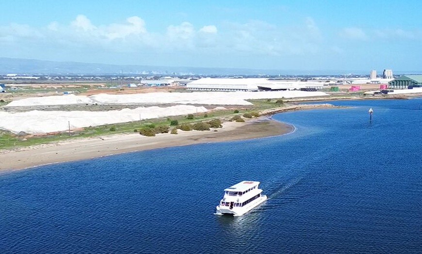 Image 8: 2-Hour Dolphin and Maritime Cruise in Port Adelaide
