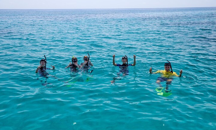 Image 4: Cairns Great Barrier Reef Snorkel and Flight Adventure