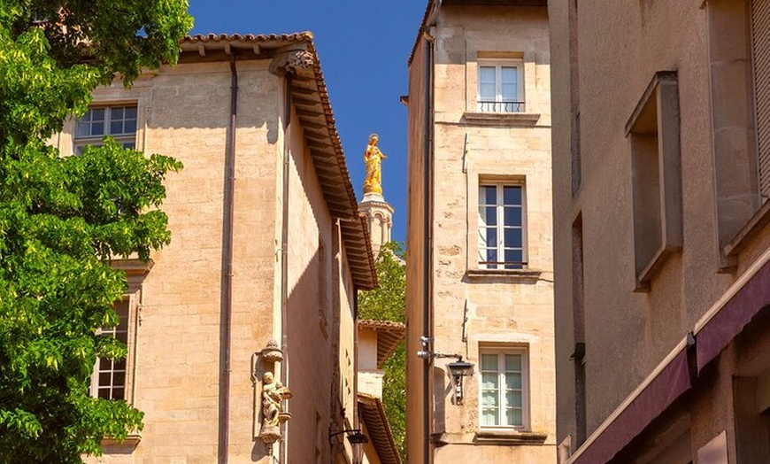 Image 6: Bonjour Avignon : Private 2 - Heure Intro City Walk avec Guide Local