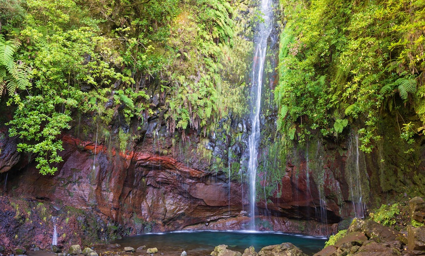 Image 17: ✈ MADÈRE | Funchal - Trek 4 randonnées & hotel Terrace Mar Suite 4*...