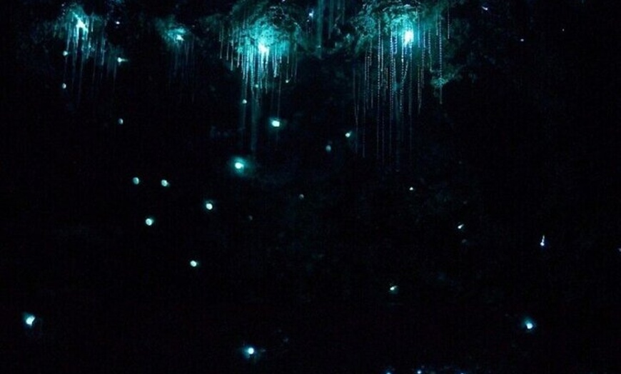 Image 6: Gold Coast: Glow Worms, Sunset & Stargazing with BBQ dinner