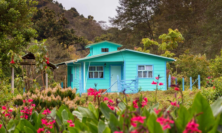 Image 3: ✈ COSTA RICA | San José - Fuga verde in Costa Rica - Viaggio on the...