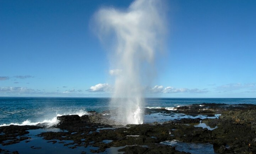 Image 28: Sydney: Private South Coast, Highlands and Kiama Tour